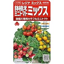 616k+zirgAL._AC_UL210_SR210,